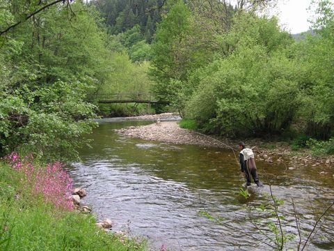 Camping Sites et Paysages - Le Vaubarlet  - Camping Haute-Loire - Image N°40