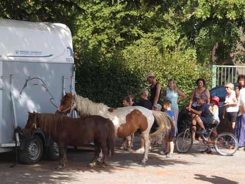 Flower Camping Le Château - Camping Drome - Image N°65