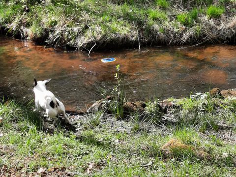 Camping La Petite Rivière - Camping Corrèze - Image N°14