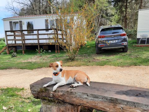 Camping La Petite Rivière - Camping Corrèze - Image N°15