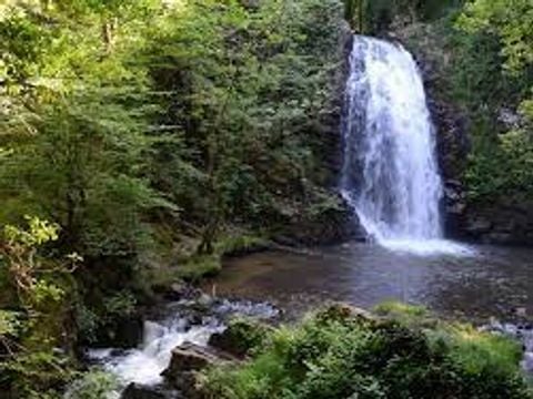 Camping La Petite Rivière - Camping Corrèze - Image N°13