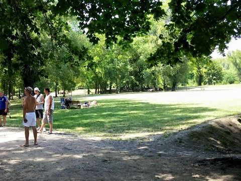 Aire Naturelle de Camping Les Cerisiers - Camping Loire - Image N°7