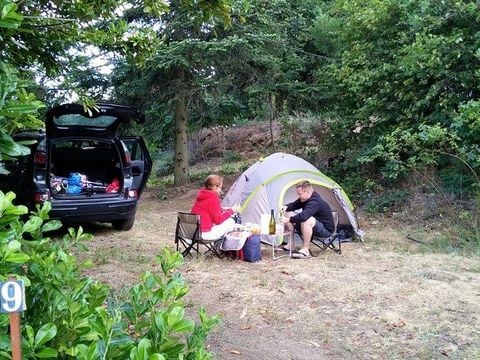 Aire Naturelle de Camping Les Cerisiers - Camping Loire - Image N°9