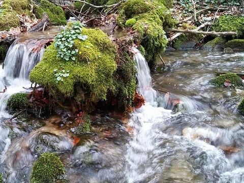 Aire Naturelle de Camping Les Cerisiers - Camping Loire - Image N°8