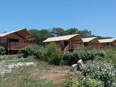 Camping Soleil D'or - Camping Gironde - Image N°17