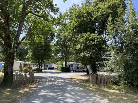 Camping Vieux Moulin - Camping Gironde - Image N°20