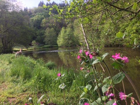 Camping La Chatonnière - Camping Dordogne - Image N°2