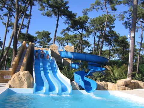 Camping Le Dauphin - Camping Charente-Maritime - Image N°9