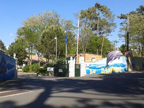 Camping Le Dauphin - Camping Charente-Maritime - Image N°56