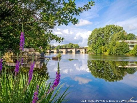 Flower Camping l'Air du Lac - Camping Haute-Vienne - Image N°60