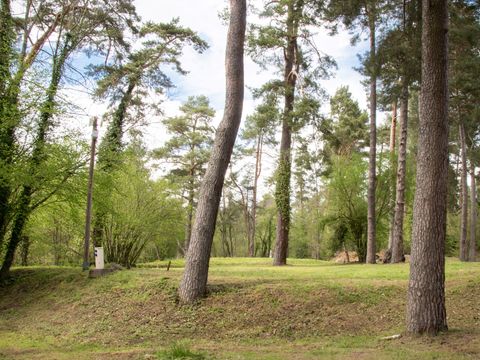 Camping du Lac d'Aydat - Camping Puy-de-Dôme - Image N°19