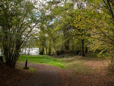 Camping du Lac d'Aydat - Camping Puy-de-Dôme - Image N°33