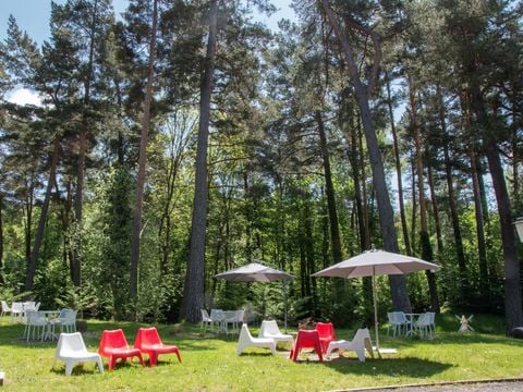 Camping du Lac d'Aydat - Camping Puy-de-Dôme - Image N°12