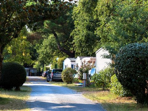 Camping Au Joyeux Faune - Camping Charente-Maritime - Image N°30