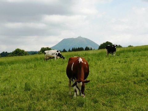 Camping Les Dômes - Camping Puy-de-Dôme - Image N°23