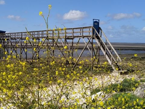 Camping Au Pigeonnier - Camping Charente-Maritime - Image N°82