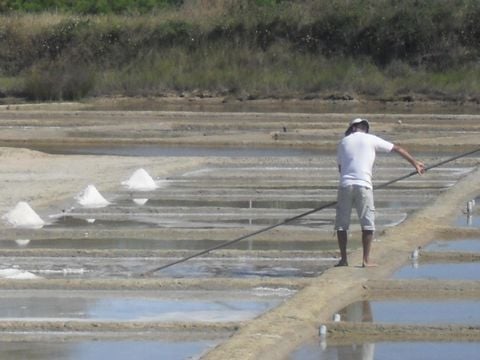 Camping Au Pigeonnier - Camping Charente-Maritime - Image N°70