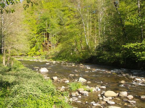 Camping Le Lachat - Camping Haute-Savoie - Image N°15