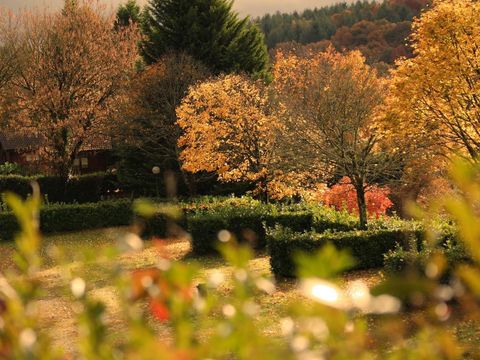 Camping Pont du Dognon - Camping Haute-Vienne - Image N°16