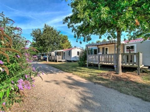 MOBILE HOME 6 people - MOBIL PRAIRIE/CAMP (EDEN)