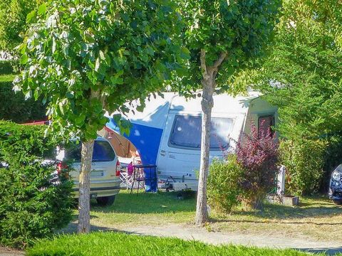 Camping La Buzelière - Camping Vendée - Image N°3