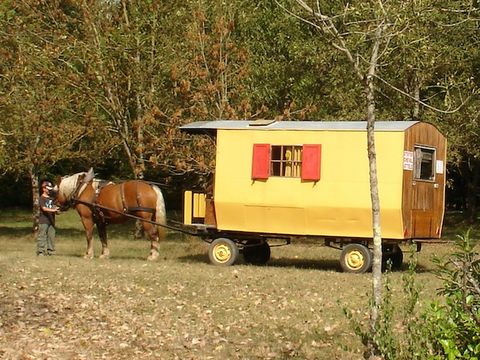 Flower Camping les 3 Ours - Camping Jura - Image N°12