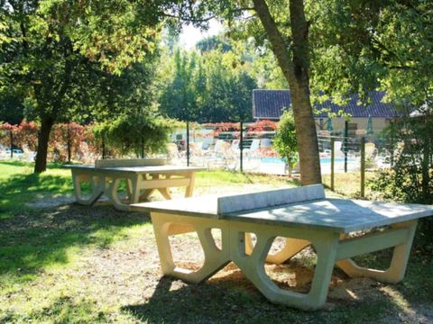 Camping La Vallée des Vignes - Camping Maine-et-Loire - Image N°17