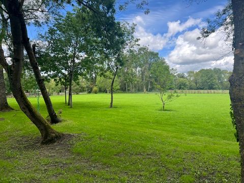 TENTE 5 personnes - Tente Safari Outstanding sans sanitaire