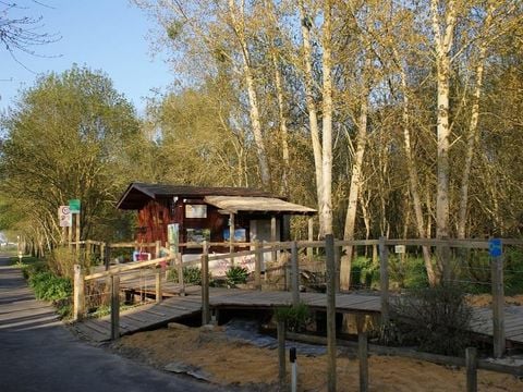 Camping Au Bord de Loire - Camping Maine-et-Loire - Image N°50