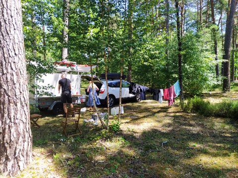  Le camping des Pins-Only Camp - Camping Cher