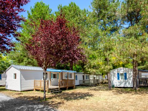 Camping Le Razay - Camping Loire-Atlantique - Image N°8