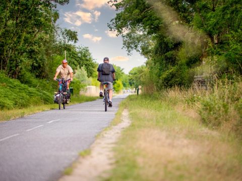 Camping des Goélands - Camping Gironde - Image N°24