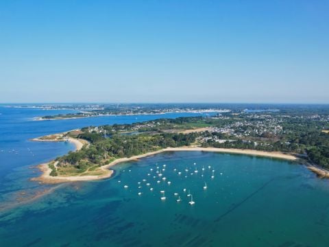 Camping Paradis - Les Palmiers - Camping Morbihan - Image N°5