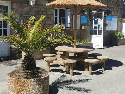 Camping Paradis - Les Palmiers - Camping Morbihan