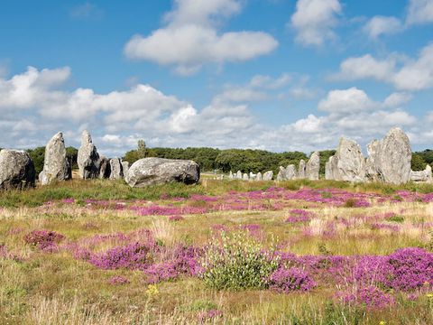 Camping Les Bruyères Carnac - Camping Morbihan - Image N°154