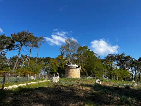 Camping Les Bruyères Carnac - Camping Morbihan - Image N°161