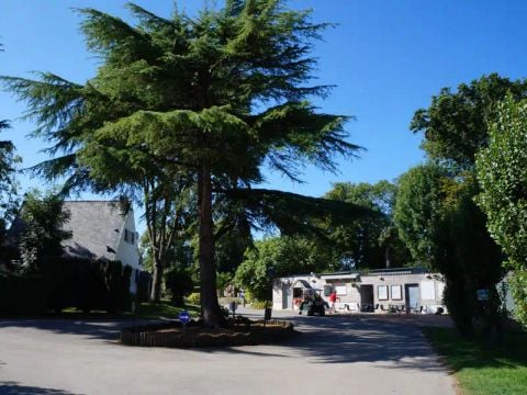 Camping Paradis du Quinquis - Camping Finistère - Image N°20