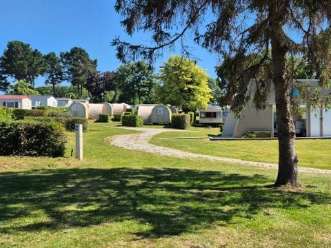 Camping Paradis du Quinquis - Camping Finistère - Image N°22