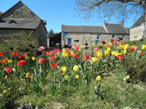 Flower Camping La Hallerais - Camping Côtes-d'Armor - Afbeelding N°5