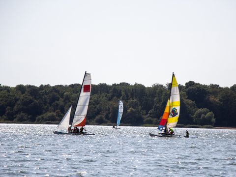 Camping De La Forêt - Camping Marne - Image N°3