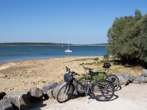 Camping De La Forêt - Camping Marne - Image N°5