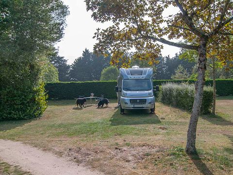 Camping Ode Vras - Camping Finistère - Image N°4