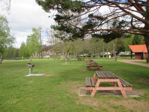 Camping Ramstein Plage - Camping Moselle - Image N°24