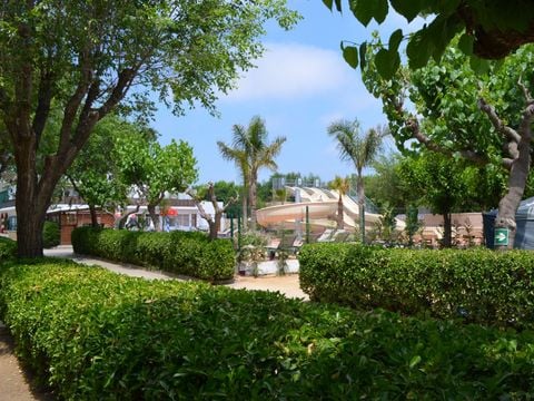 Camping Caballo de Mar - Camping Barcelone - Image N°4