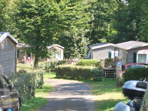 Camping Village de Reneville - Camping Seine-Maritime - Image N°22