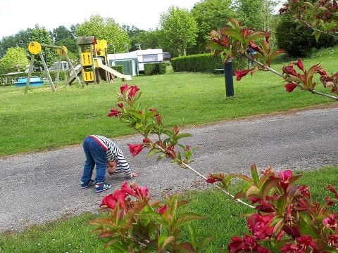 Flower Camping des 2 Rivières - Camping Seine-Maritime - Image N°7