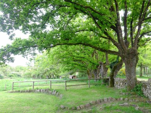 Domaine Dihan Evasion - Camping Morbihan - Image N°42