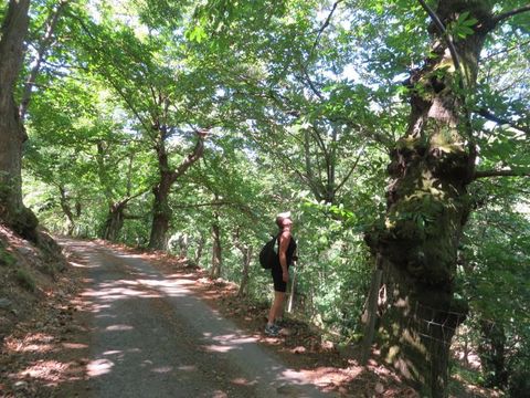 Camping le Pré Coulet - Camping Ardèche - Image N°28