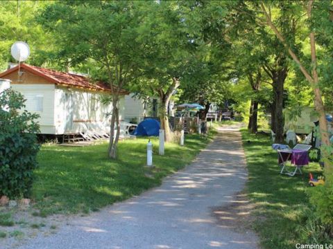 Camping Lou Troumpetoun - Camping Var - Afbeelding N°5