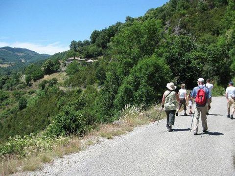 Camping l'Ardéchois - Camping Ardeche - Image N°28